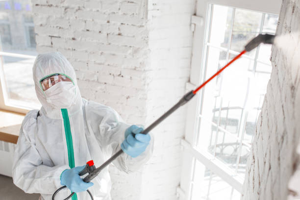 Best Mold-Related Health Consultation  in Rio Vista, CA