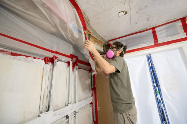 Best Airborne Mold Testing  in Rio Vista, CA