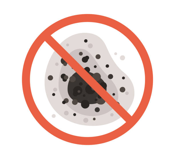 Best Mold Prevention Services  in Rio Vista, CA