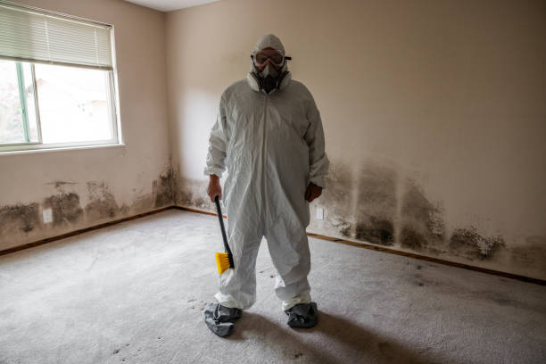 Mold Odor Removal Services in Rio Vista, CA